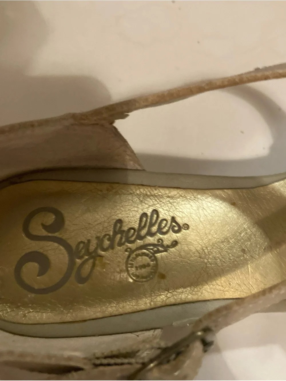 Seychelles charming peep
